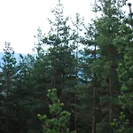 Hotel парк-хотел родопи Churen