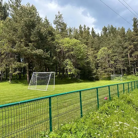 парк-хотел родопи 酒店 3*