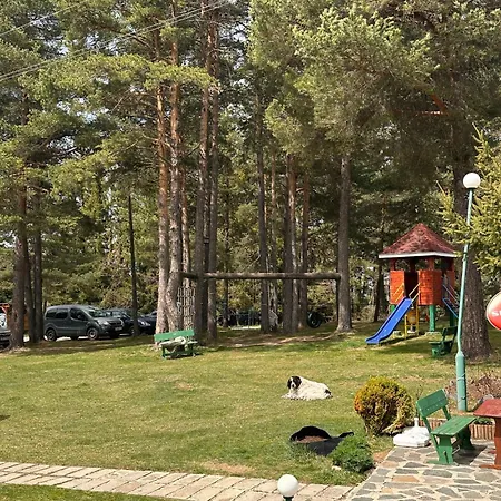 Hotel парк-хотел родопи 3*