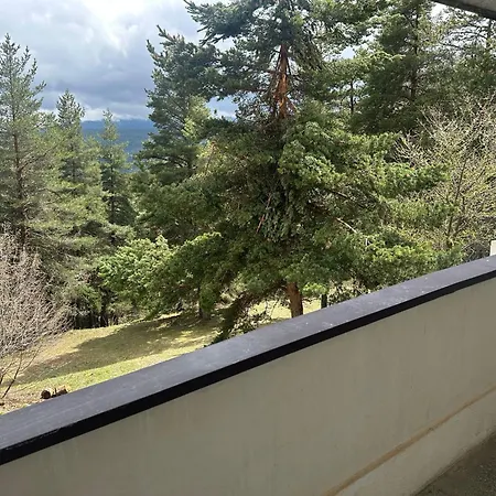 酒店 парк-хотел родопи