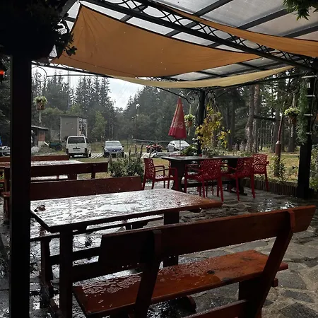 Hotel парк-хотел родопи 3*