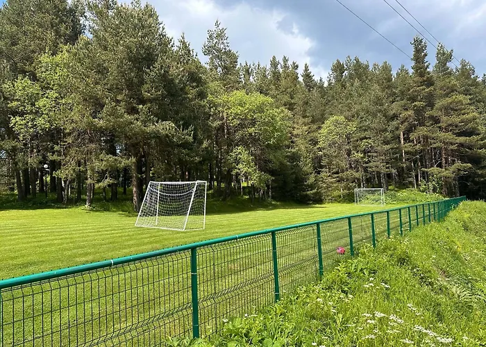 парк-хотел родопи 酒店 3*