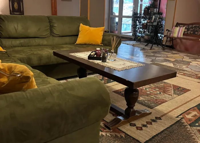 酒店 парк-хотел родопи 3*