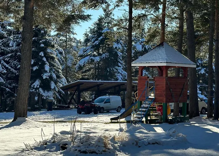 парк-хотел родопи 酒店 3*