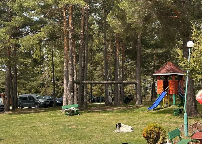 酒店 парк-хотел родопи 3*