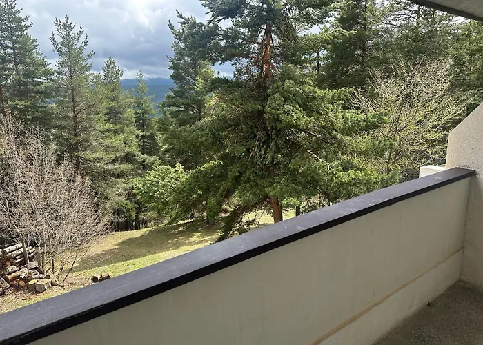 酒店 парк-хотел родопи