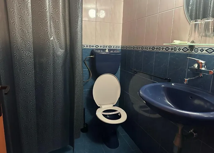 酒店 парк-хотел родопи 3*