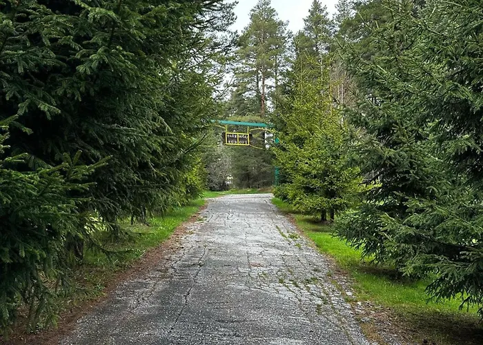 酒店 парк-хотел родопи 3*