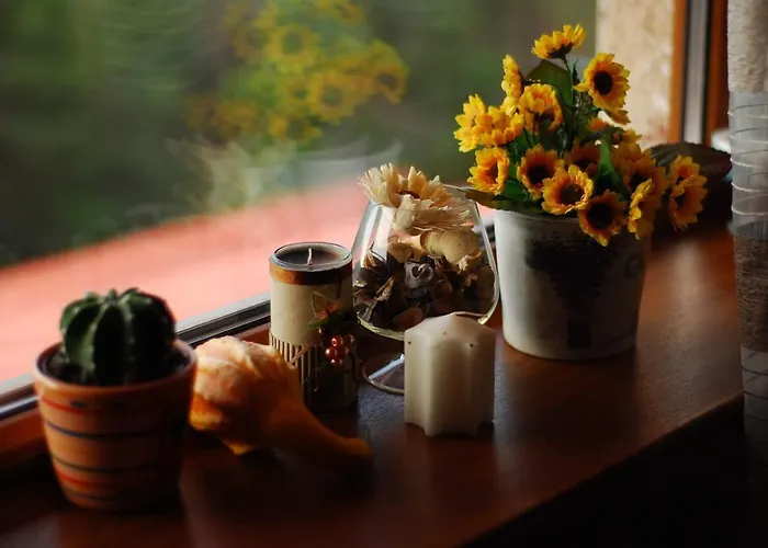 парк-хотел родопи