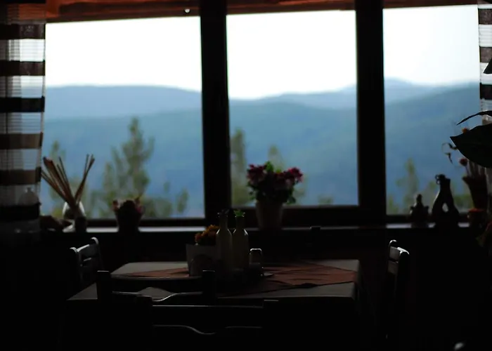 парк-хотел родопи 酒店 3*