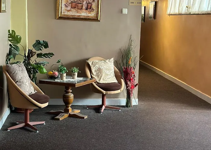 酒店 парк-хотел родопи 3*