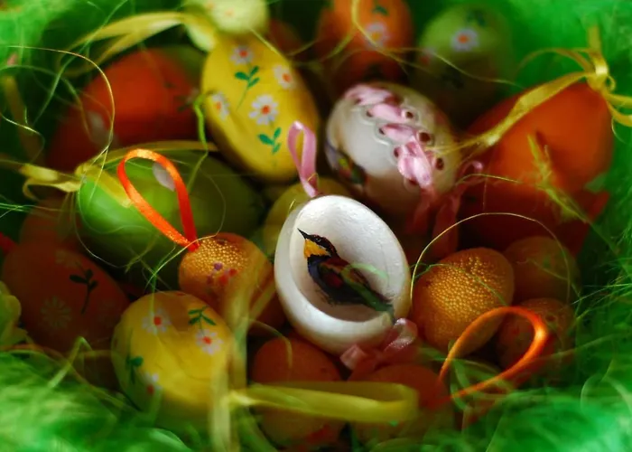 酒店 парк-хотел родопи Churen