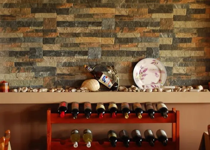 酒店 парк-хотел родопи