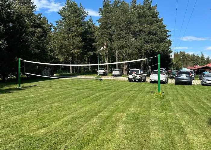 酒店 парк-хотел родопи 3*