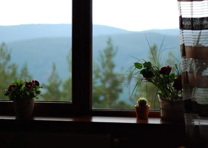 酒店 парк-хотел родопи Churen