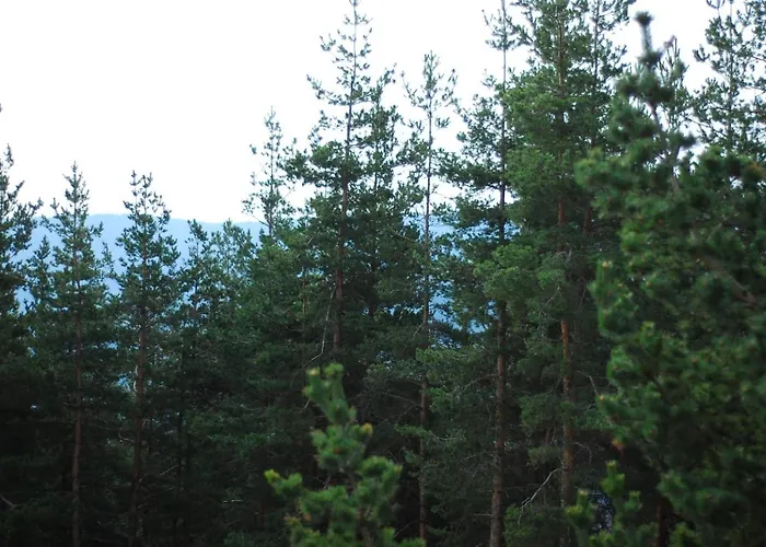 酒店 парк-хотел родопи Churen